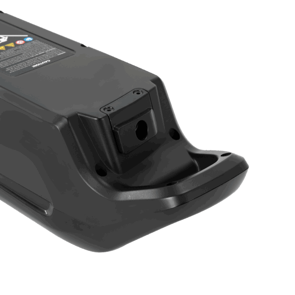 Accu voor Zundapp / Prophete Cargo Plus ZZ1311004 - Smart BMS - 36 volt - 12,8 AH - 460,8 Wh - Afbeelding 6