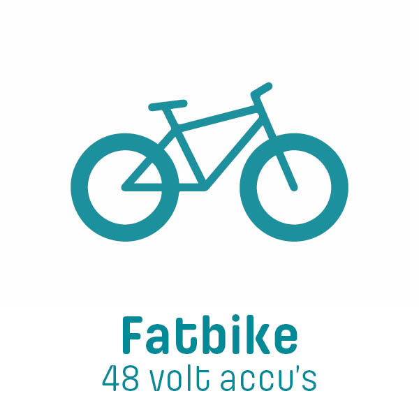 Accu V.8 V.9 voor sundvall, Greenteam, Popal, Forza enz... - 36 Volt - 13 Ah - 468 Wh inclusief oplader